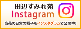 ボランティア募集
